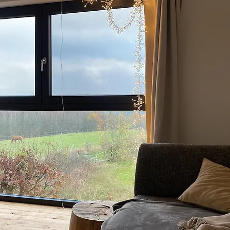Eifelhaus Ut Mutscheid Holiday home
